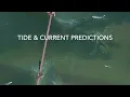 Tide current predictions on SF Bay v2