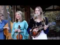 White Winter Hymnal - The Petersens (LIVE)