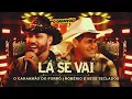 Download Lagu Lá Se Vai - O Garanhão Do Forró e Robério e Seus Teclados 