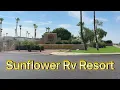 Sunflower RV Resort Winter Destination Snowbirds 55 Community Arizona