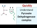 Pyruvate dehydrogenase complex
