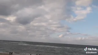 صوت الحوت الأزرق في الاسكندريه دندنها