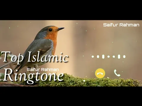 Download MP3 Top 10 Islamic Ringtone | Top 10 Naat Ringtone | 2021 New Naat Ringtone Download | Mp3 Ringtone