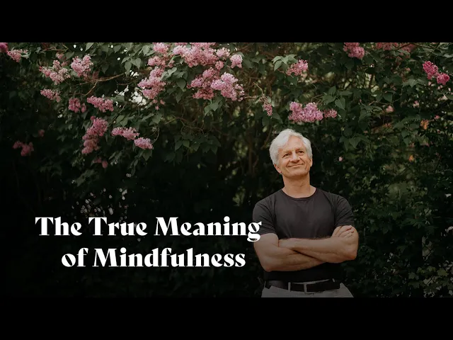 Beyond the Buzzword: Understanding the True Meaning of Mindfulness |  Dr. Philippe Goldin