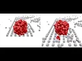 deterministic lockstep 5