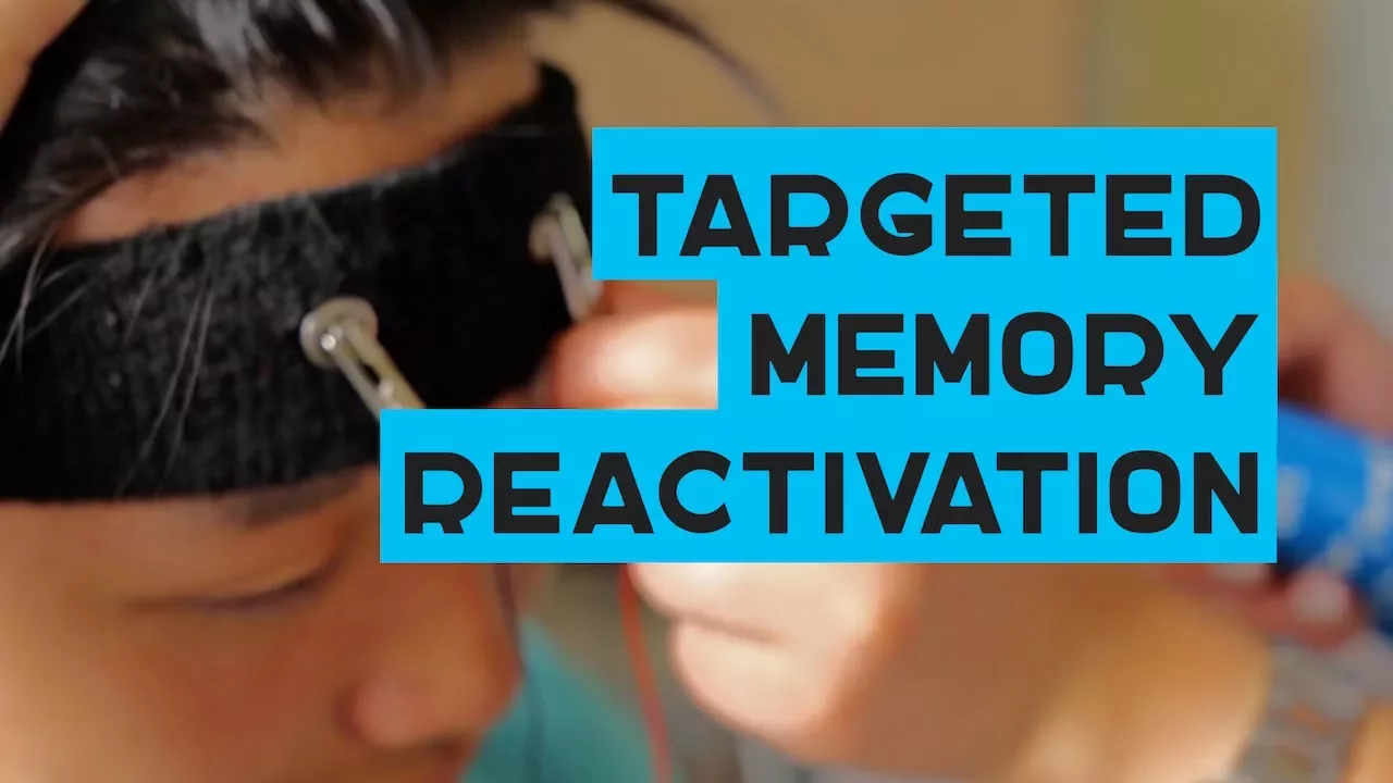 Upgrading the Brain with Targeted Memory Reactivation