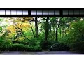 Download Lagu 3 HOUR Japanese Temple Bell Sound At 'Hondo' for Relaxing ,Healing And Zen