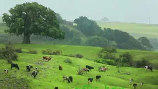 مسلم علي عبدالكريم محلى جلوس التراب 