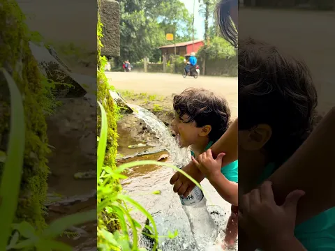 Viagem em família
