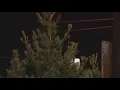 Grapevine shutdown a possibility amid severe weather