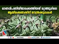Download Lagu ഓണവിപണിയിലേക്കെത്തിയത് മറ്റത്തൂരിലെ ആയിരക്കണക്കിന് നേന്ത്രക്കുലകള്‍