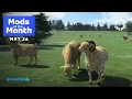 May 2026 Mods of the Month