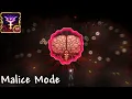 Reworked Brain of Cthulhu Malice Mode Calamity