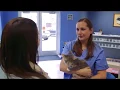 St Charles County Pet Adoption Center