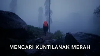 Penantang Hilang Paling Penakut (Cikuray #1)