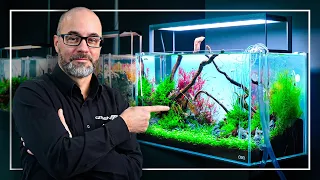 Download A Perfect Tutorial to Start Your FIRST Planted Aquarium MP3