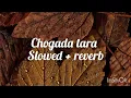 Download Lagu chogada tara slowed + reverb || chill with music 💜💜🧡🧡💚💚💙💙💖💖❤❤