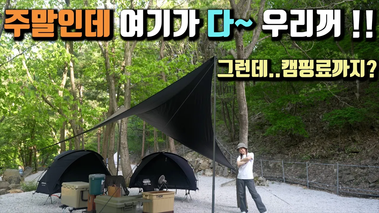 대한민국에서 제일 사람없는 계곡 캠핑장..바로 여기!! / 사이트 크기 대박?? / 3M 계곡 다이빙 명소 / 너무 조용해서 무서워요~~ サムネイル