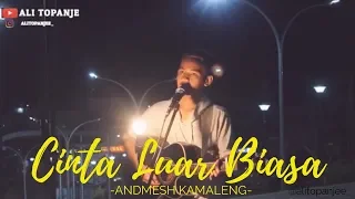 Download CINTA LUAR BIASA - (ANDMESH KAMALENG) COVER BY ALI TOPAN MP3