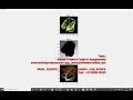 TOMATO POTATO PLANT LEAF DISEASE DETECTION USING K-MEANS AND CNN PlantVillage Dataset