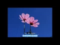 Download Lagu 花は咲く (Hana wa saku) (花会绽放 - 中日文字幕)
