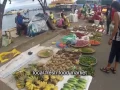 Download Lagu Indonesia -- Ternate City Tour