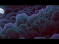 Download Lagu metro boomin - around me (feat. don toliver) (slowed + reverb)