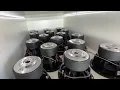 BIGGEST SKAR SYSTEM 16 ZVX 12 SUBWOOFERS