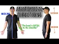 Directional Terms Anatomical Terminology