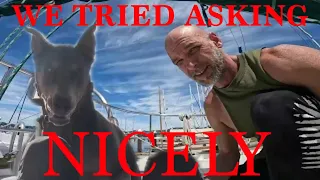 S1E33. Tracking Down Boat Smells & Fixing What Matters | Bluewater Sailboat Refit