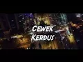 Download Lagu LIRIK LAGU KEMAL PALEVI CEWEK KARDUS FEAT YOUNG LEX