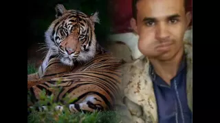 يحيى رسام   مراسيلي بدمع العين مكتوبه      دندنها