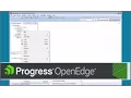 Creating Progress OpenEdge Data Object Services