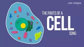 THE PARTS OF A CELL SONG Science Music Video