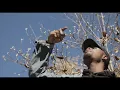Xavier Beginner's Luck (OFFICIAL VIDEO)