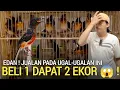 Lagu REZEKI INI MAH ! OBRAL SAMPAI HABIS MURAI BELI 1 DAPAT 2 EKOR MURAH PASAR BURUNG PRAMUKA LEWAT 