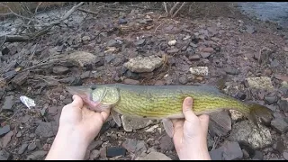 Exploring Lawrence brook