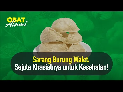 Sarang Burung Walet, Mempercepat Penyembuhan Luka dan Memperkuat Tulang