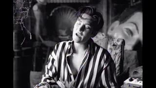 k d lang - Constant Craving