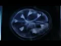 Leina「medicine」MV Teaser01