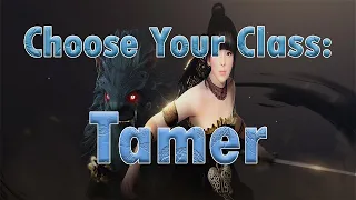 Black Desert Online Choose Your Class Tamer