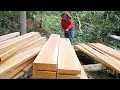 Download Lagu Woman saw Wood, Transports wood to Prepare to build a Wooden house in the Wilderness