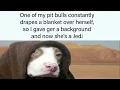 Wholesome Memes Guaranteed To Make You Smile