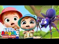 Lagu Serangga Jangan Gigit Aku!🐜🦋Lagu Anak Belajar | Little Angel Bahasa Indonesia