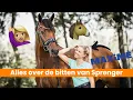 Download Lagu GAAT BO OP BEZOEK BIJ MAXIME VAN DER VLIST?! 😱🤩 | EPPLEJECK