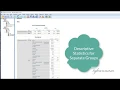 Explore Procedure in SPSS