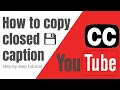 How To Copy Transcript from YouTube Download Subtitles