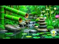 Download Lagu Relaxing Music + Bamboo Water Sounds 🎍 Birds and Water Flow for Meditation, Spa and Calm Mind