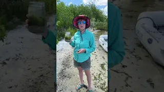 Building an ecosphere #shorts