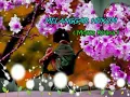 Download Lagu \